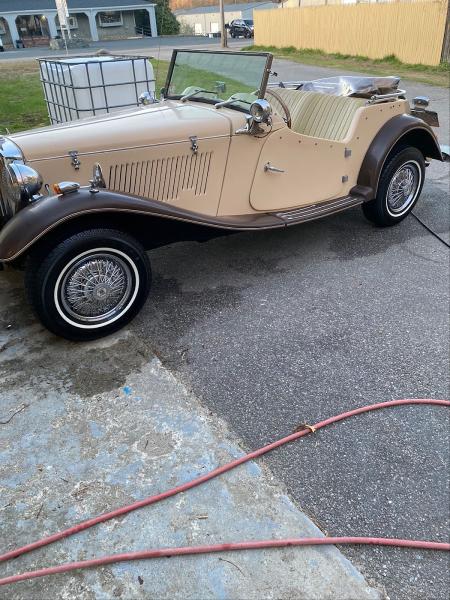 Bulldog Auto Detailing