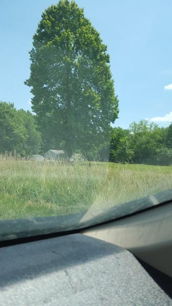 Ray's Autobody & Refinishing