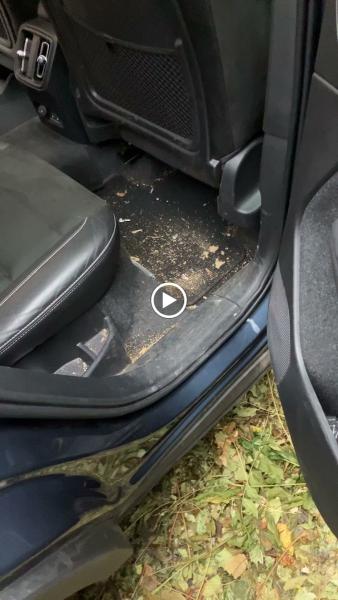 Utahs Advanced Mobile Detailing