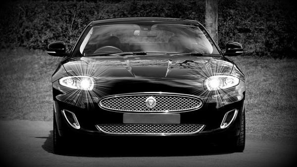 Window Tint & Windshield Tempe