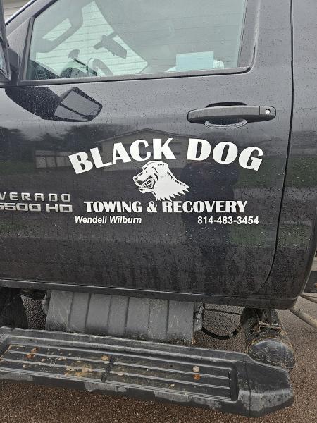 Black Dog Towing and Recovery