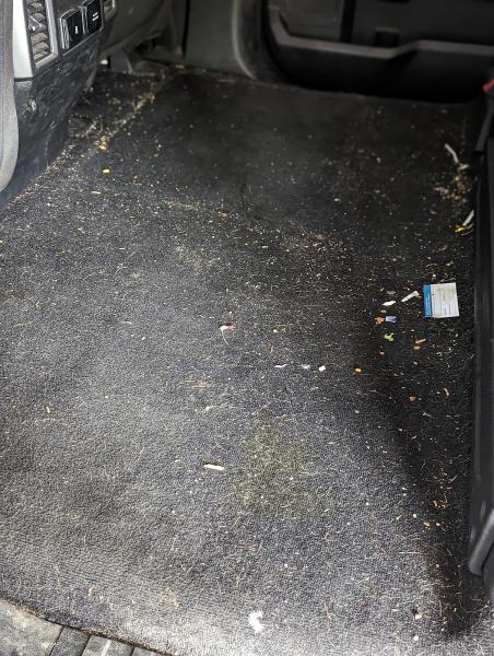 Holly Hills Auto Detailing
