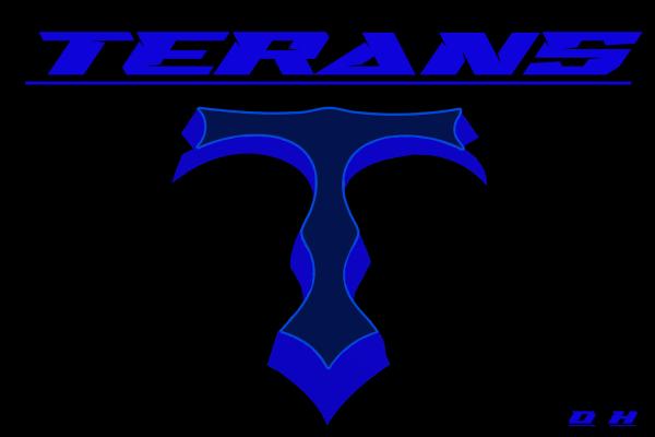 Terans Towing & Minor Repair