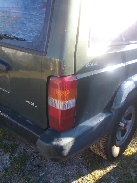 Palmetto Paint & Body Works