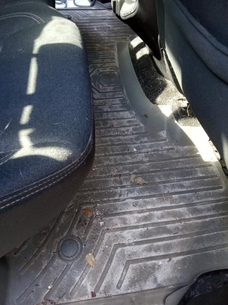Showshine Mobile Detailing