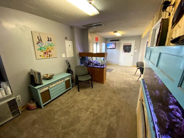 Peach/Beach Auto Painting & Collision