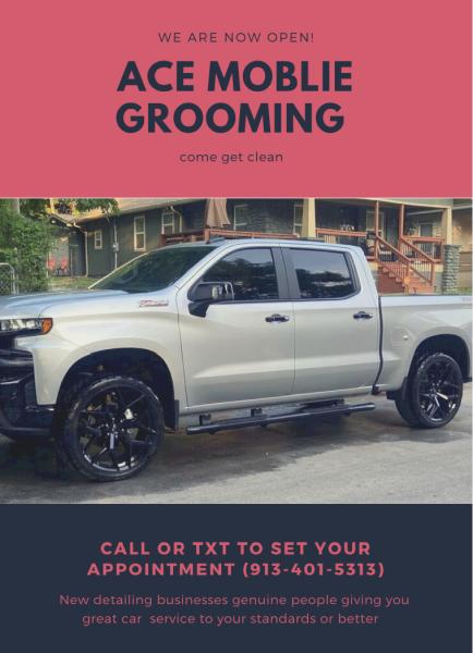 Ace Mobile Grooming