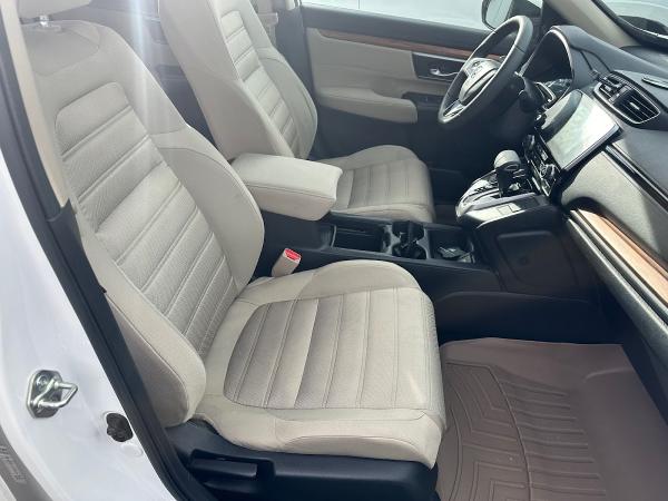 Refined Rides Detail