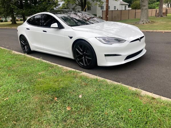 Blue Line Window Tinting