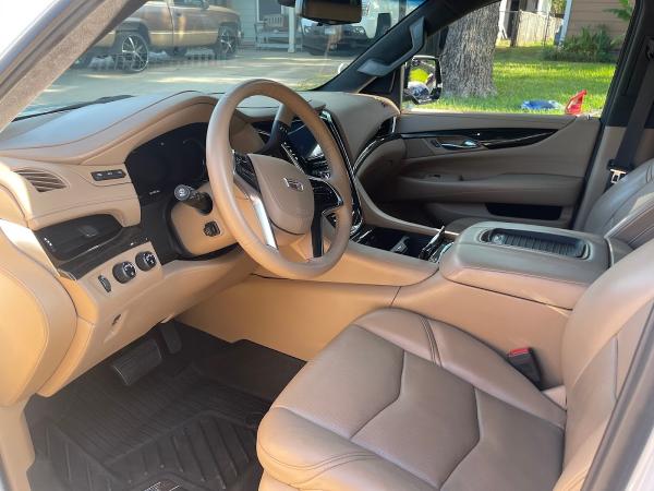 Auto Detailing