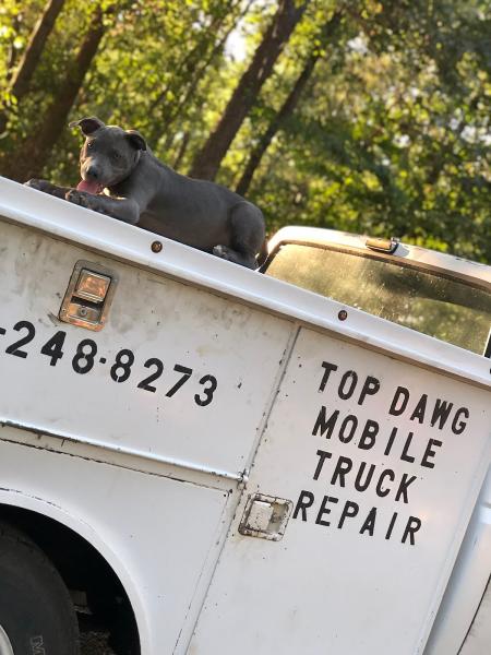 Top Dawg Mobile Truck Repair