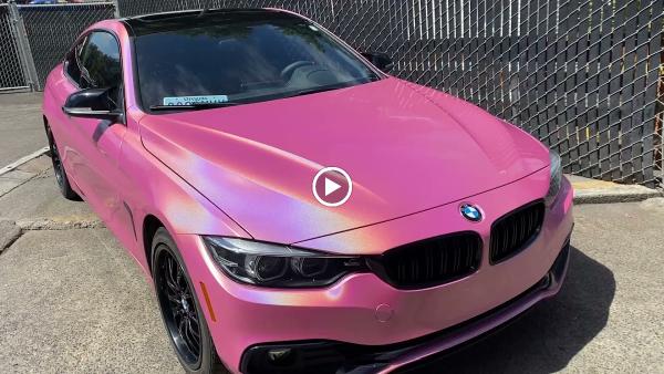 Alpha Wolf Decals LLC