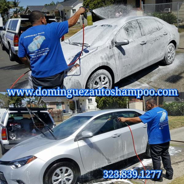 Dominguez Auto Shampoo