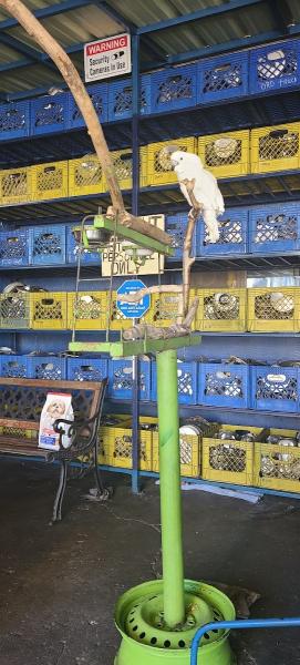 Normandie Tire Shop