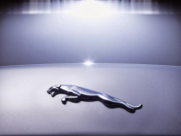 The Jaguar Doctor