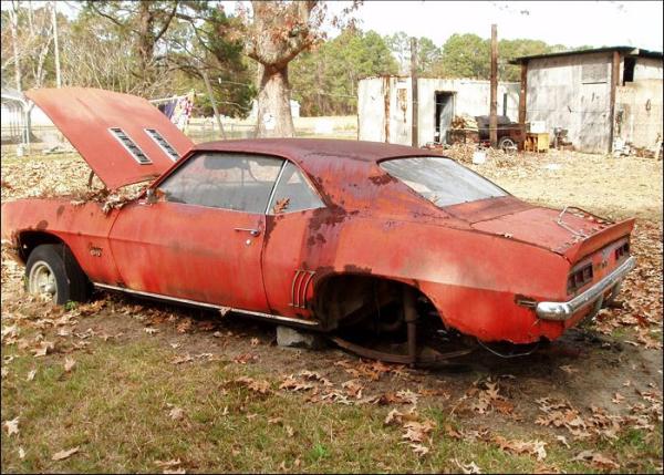 Junk Car Cat Miami