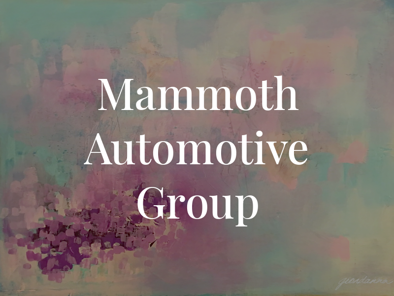 Mammoth Automotive Group Inc
