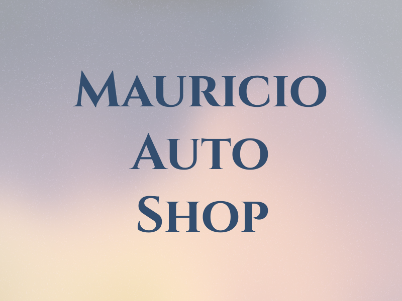 Mauricio Auto Shop
