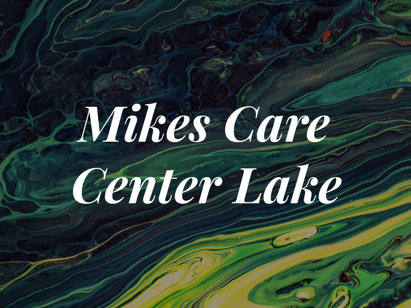 Mikes Car Care Center In Lake Grv