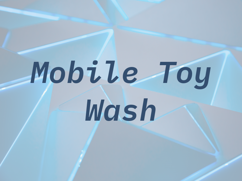 Mobile Toy Wash