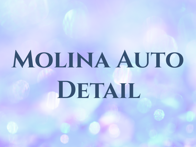 Molina Auto Detail