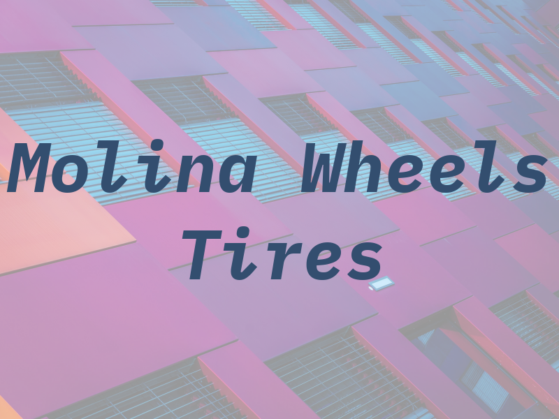 Molina Wheels and Tires #2