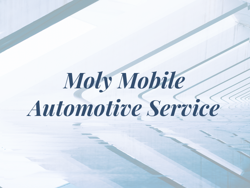 Moly Mobile Automotive Service