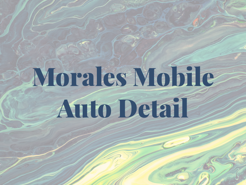 Morales Mobile Auto Detail