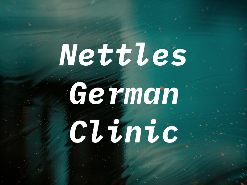 Nettles German Car Clinic