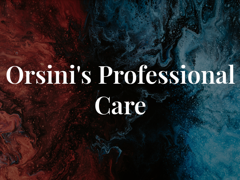 Orsini's Professional Car Care