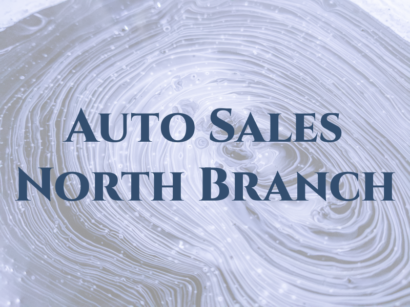 A & c Auto Sales North Branch mn