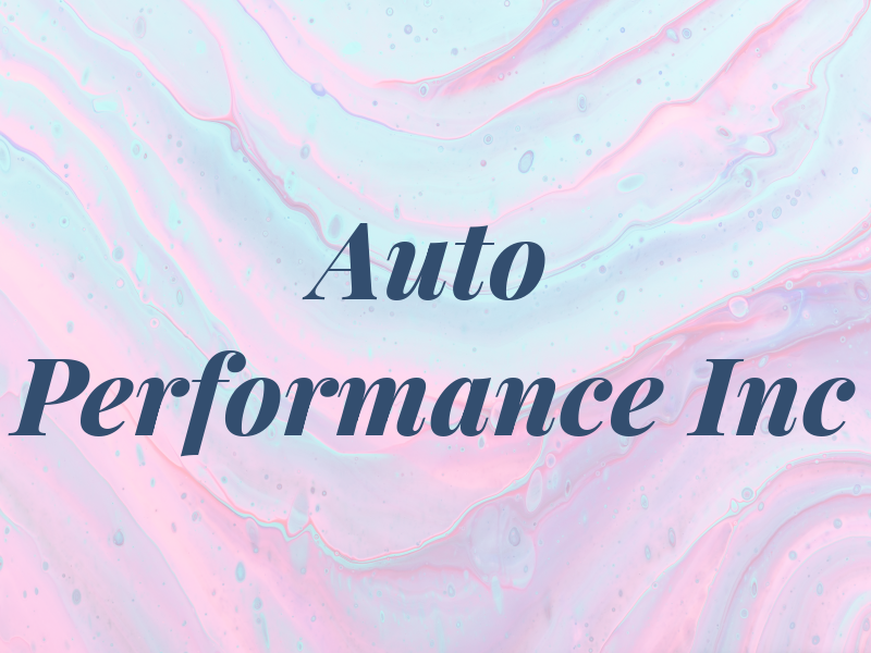Auto Performance Inc