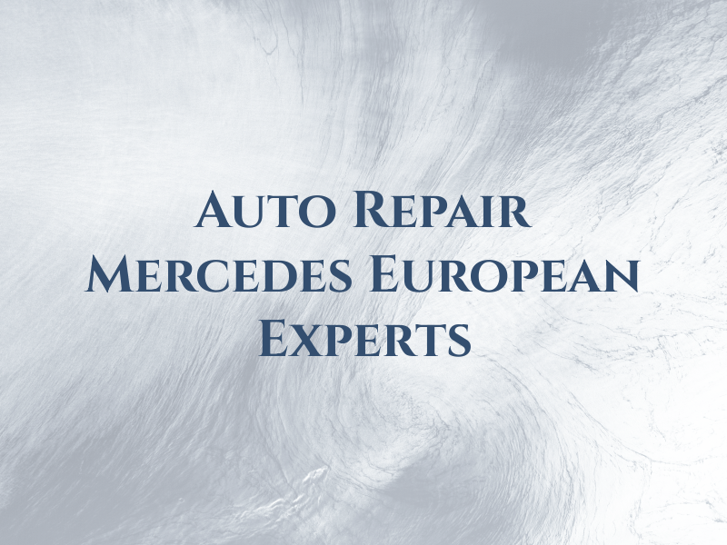 Auto Repair Mercedes BMW European Experts