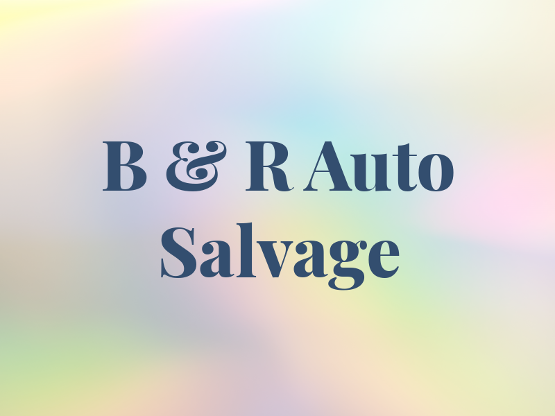 B & R Auto Salvage