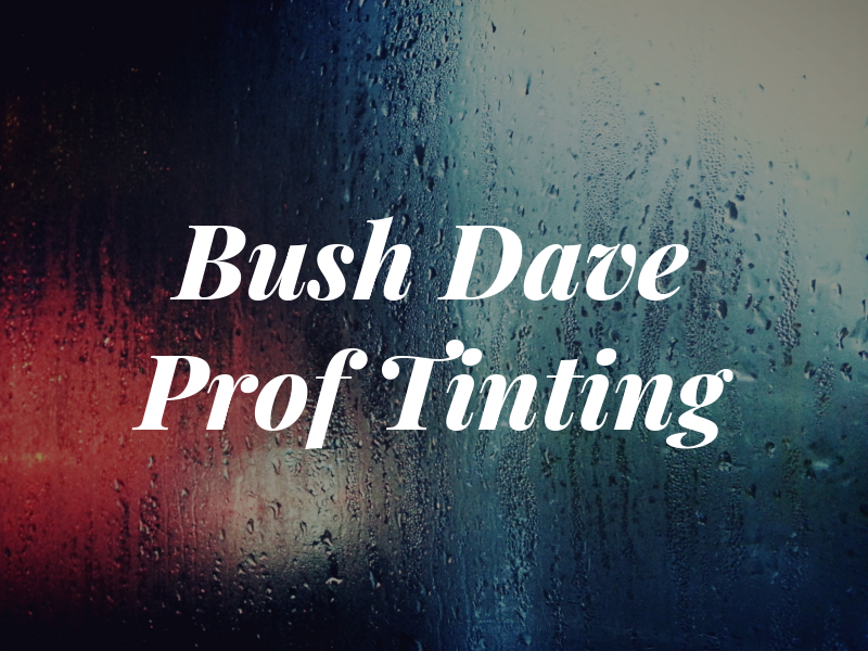 Bush Dave Prof Win Tinting