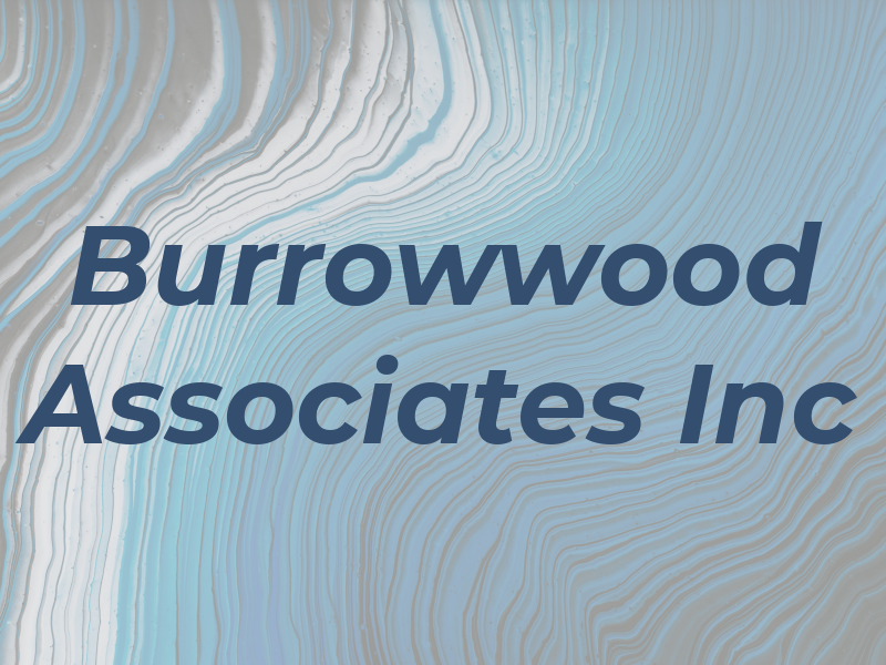 Burrowwood Associates Inc