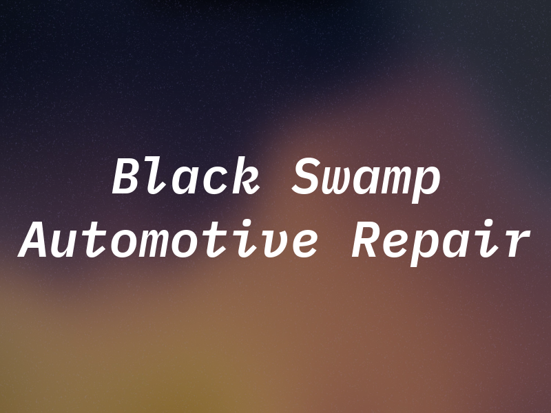Black Swamp Automotive Repair