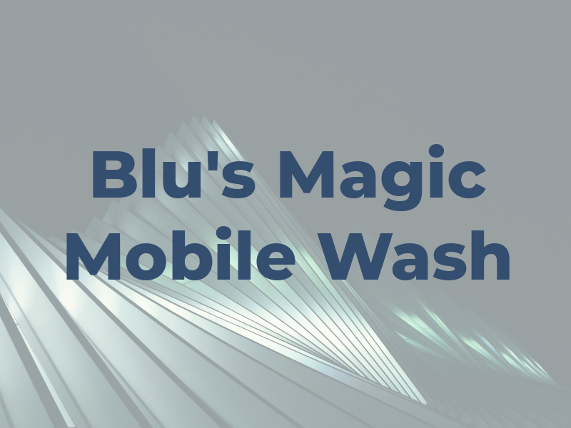 Blu's Magic Mobile Wash