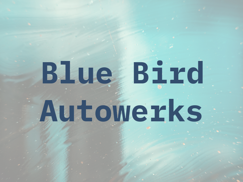 Blue Bird Autowerks