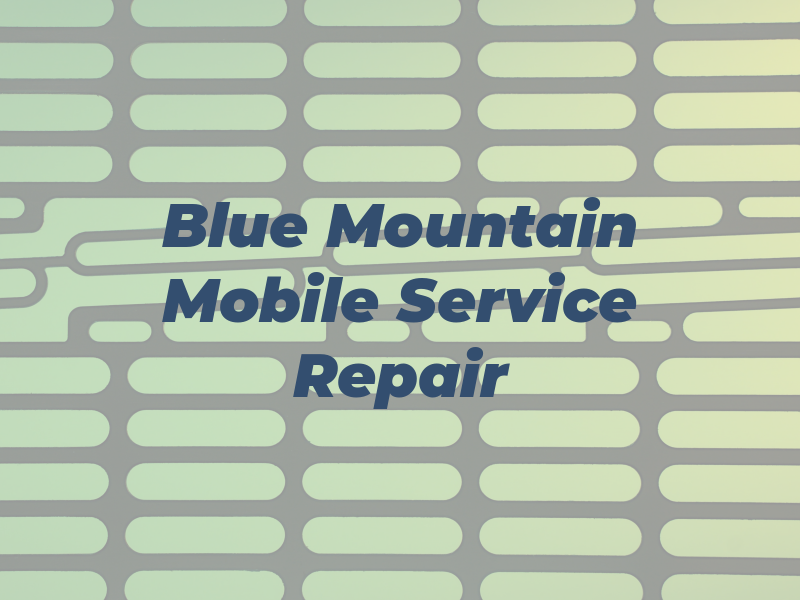 Blue Mountain Mobile RV Service and Repair