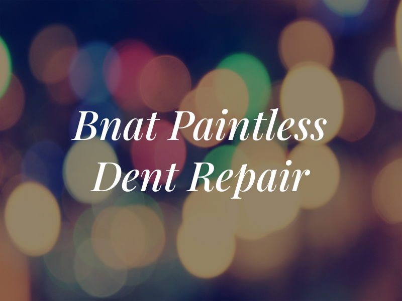 Bnat Paintless Dent Repair