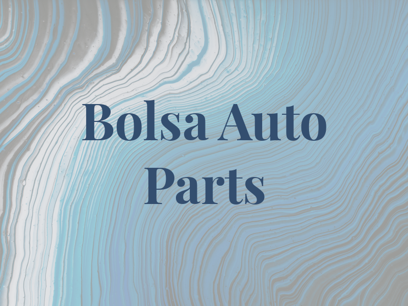 Bolsa Auto Parts