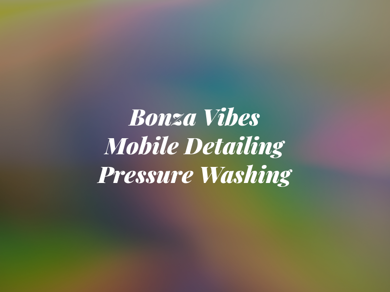 Bonza Vibes Mobile Detailing & Pressure Washing LLC