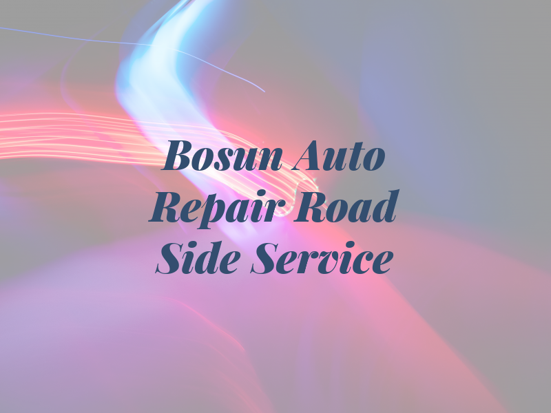 Bosun Auto Repair & Road Side Service