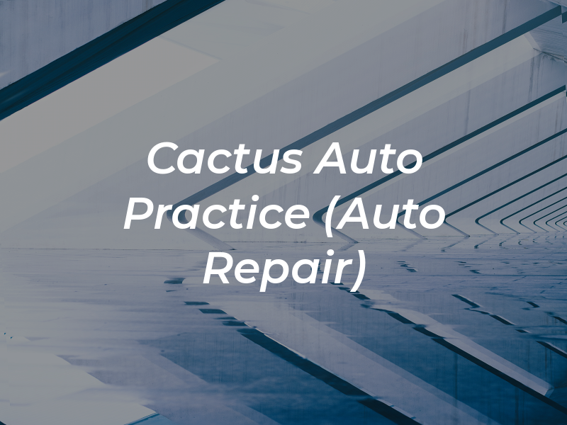 Cactus Auto Practice (Auto Repair)