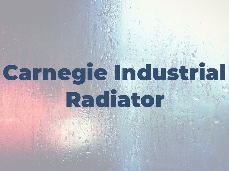 Carnegie Industrial Radiator