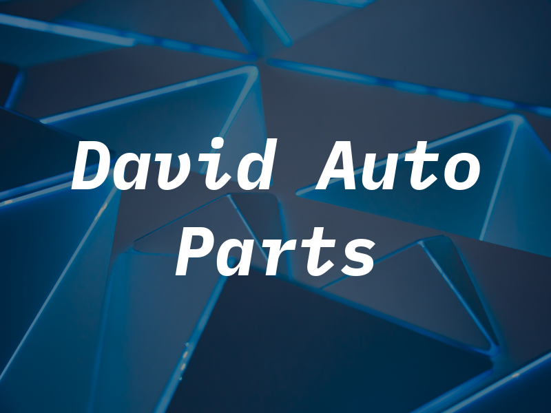 David Auto Parts Inc