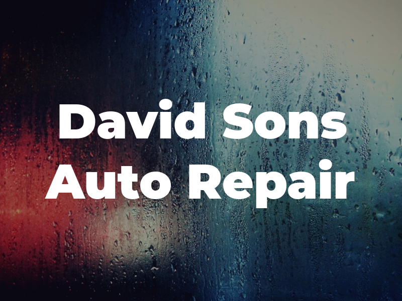 David and Sons Auto Repair