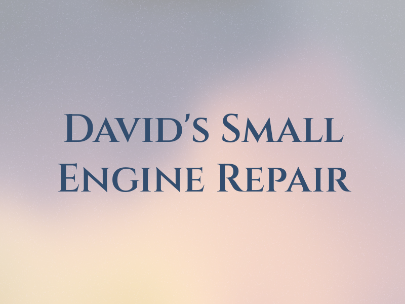 David's Small Engine Repair