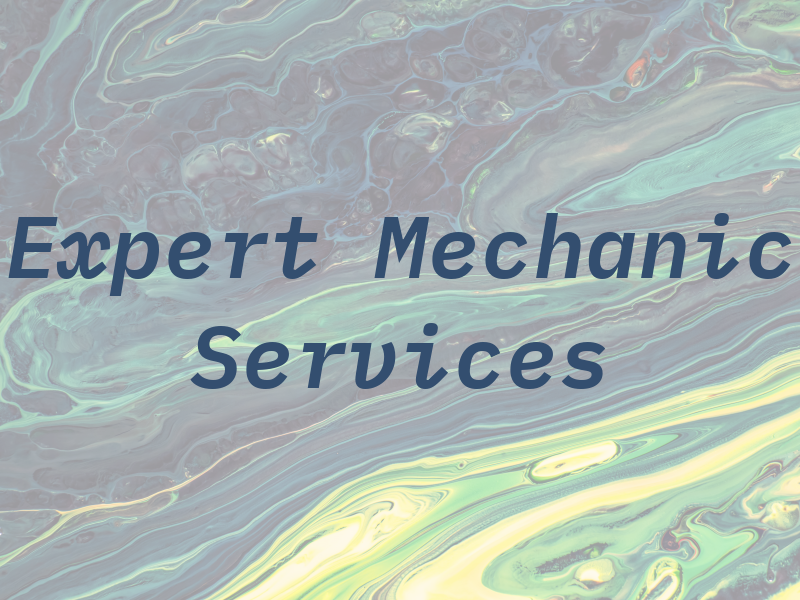 Expert Mechanic Services